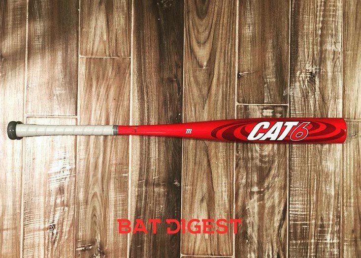 Revisão do Marucci CAT 6 2019