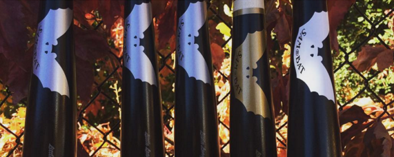 Resenha do CD1 de Sam Bat Wood Bats: Os canadianos Boat Rockers